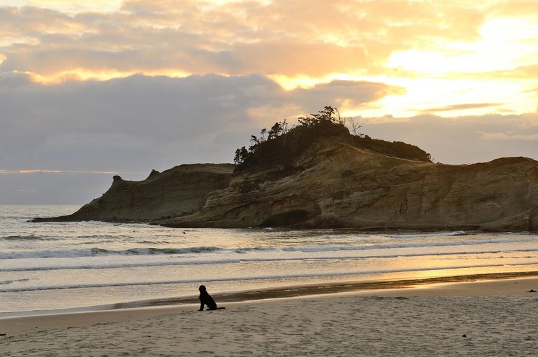 Bob Straub State Park (Tillamook County, Ore.)