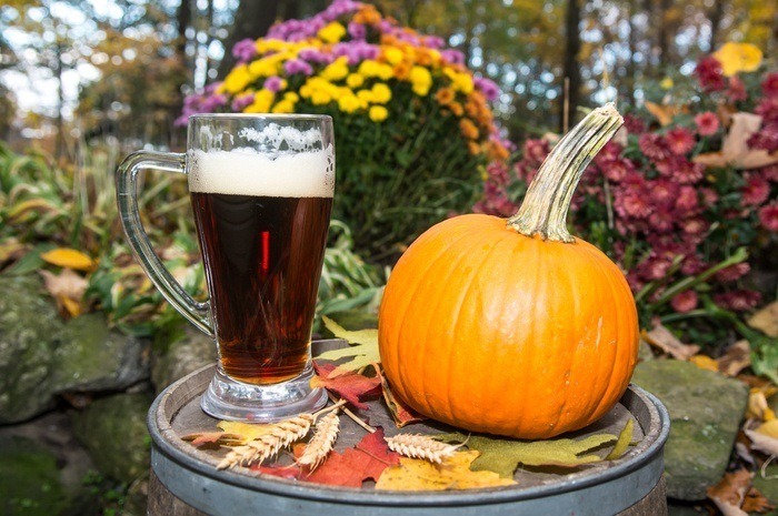 Fall Harvest Beer Cocktail