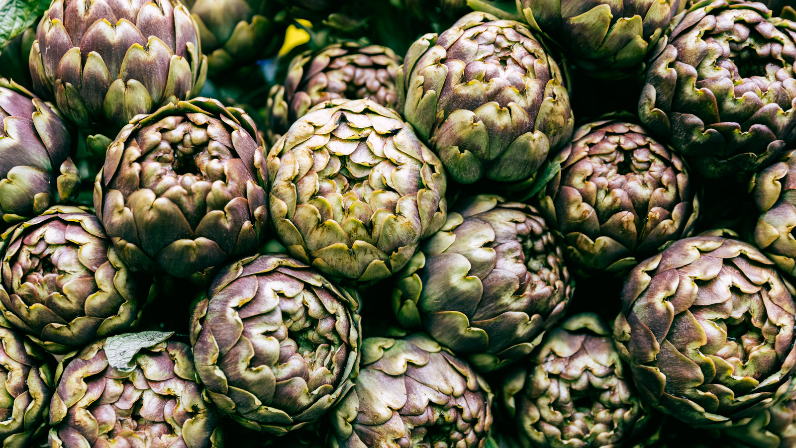 Best Ways To Eat Artichokes, According To An Expert