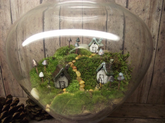 Terrarium 