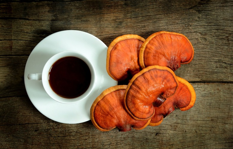 Reishi Mushroom Tea 