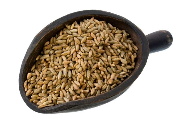 Rye Berries