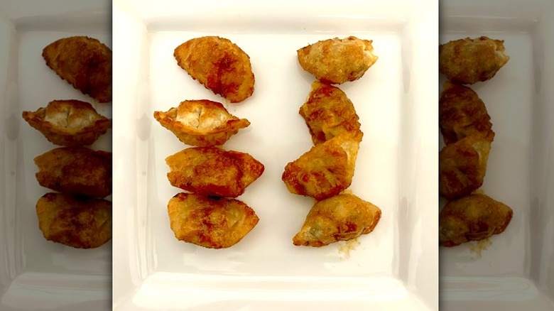 Spicy chicken crispy dumpling bites