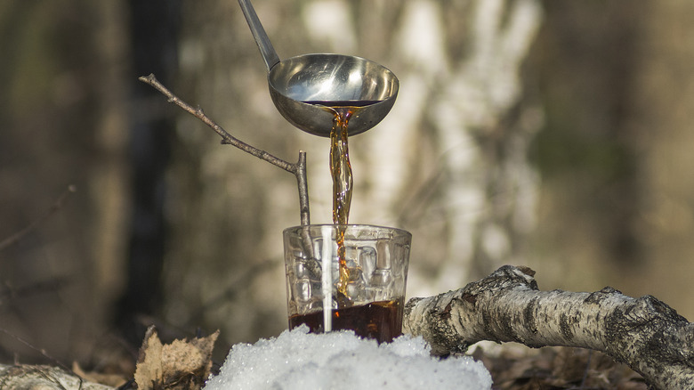 birch sap pouring from ladle