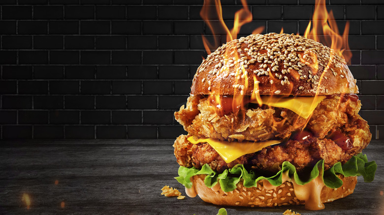 fast food burger with flames