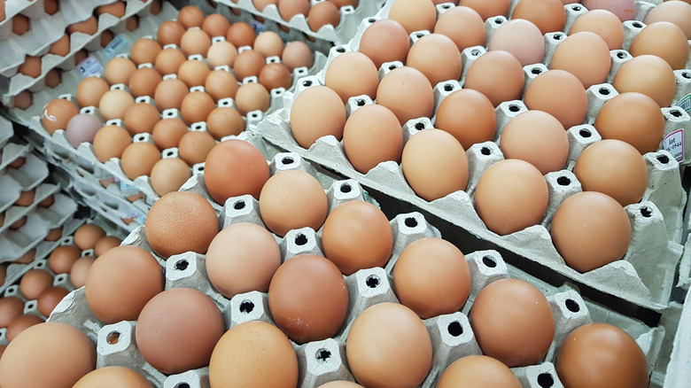 Brown eggs in trays