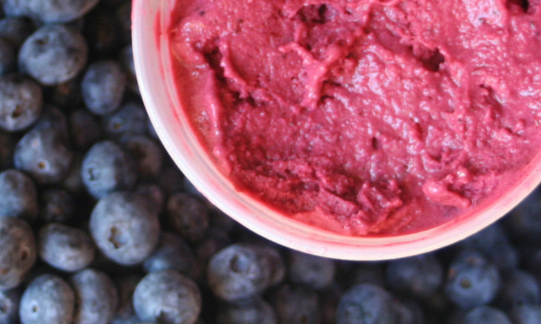 Blueberry Frozen Yogurt