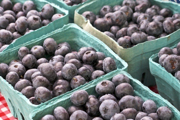 Blueberries at the farmers' market in nyc.