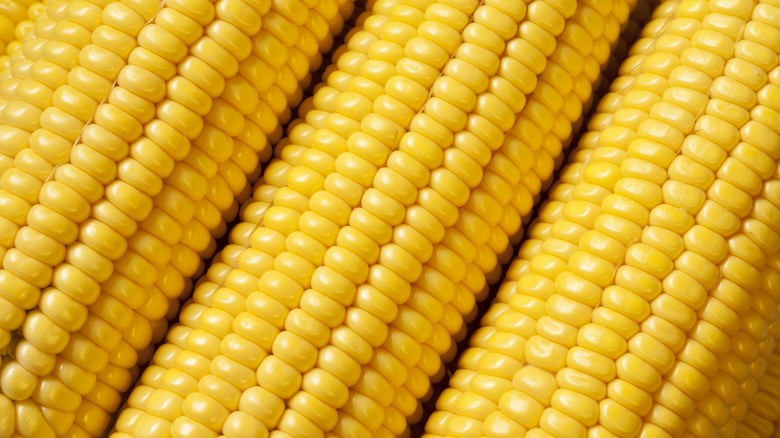 Cobs of corn