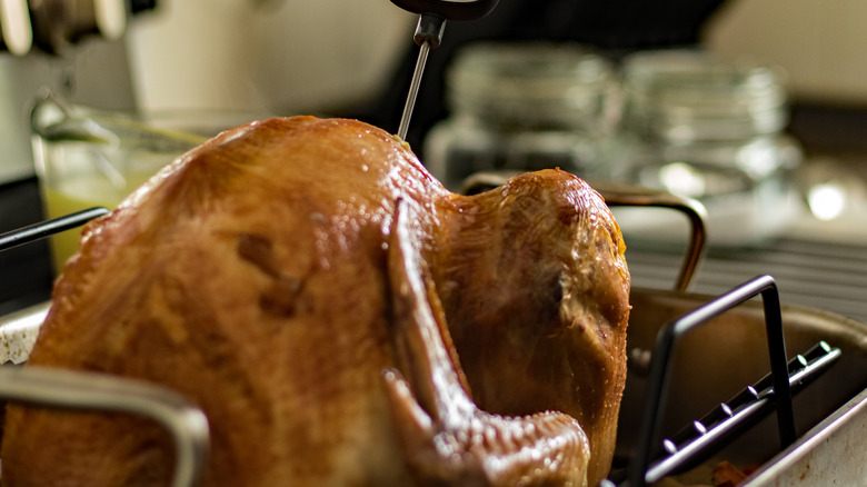 turkey in roasting pan