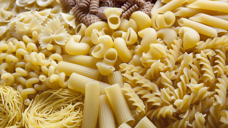 Variety of dry pasta noodles