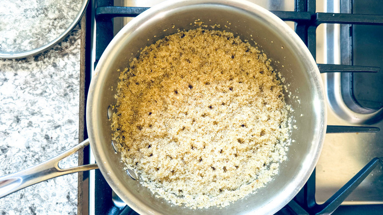 quinoa in pot