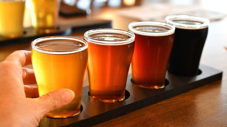 Beer flight of various shades