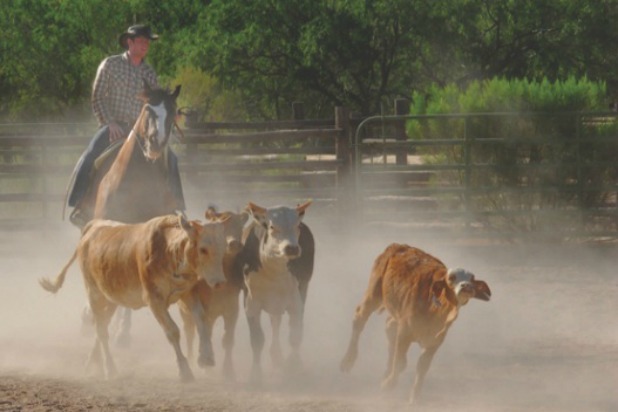 John Wayne Experience (Tucson, Ariz.)