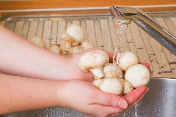 Never Rinse Your Mushrooms: MYTH