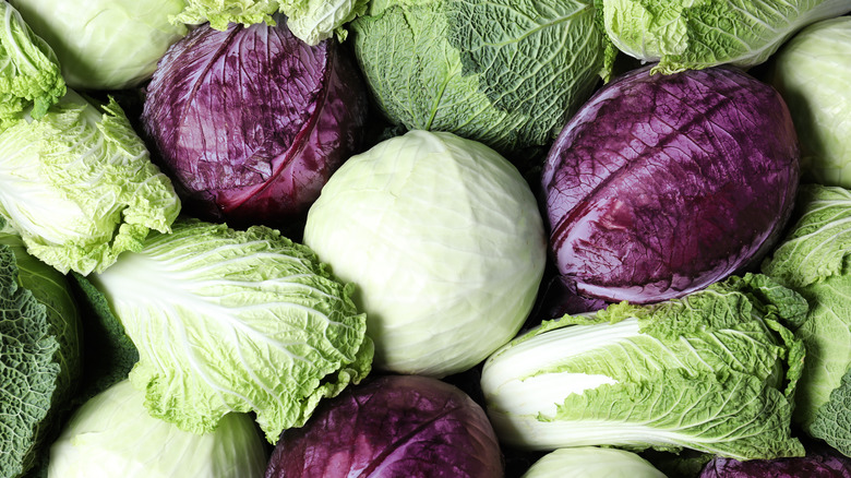 An array of cabbages