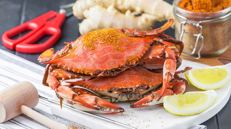 Maryland steamed blue crabs