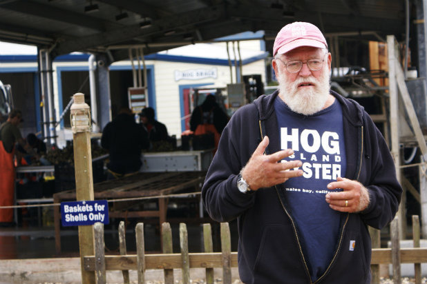 Hog Island Oysters