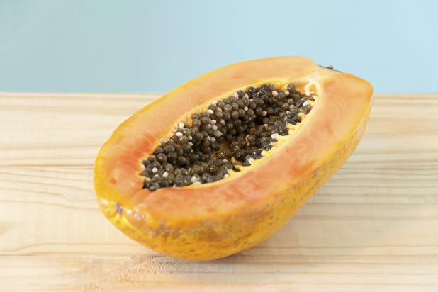 Virus-Resistant Papaya