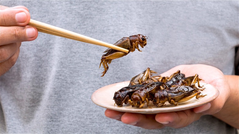 Edible Insects in Africa, Eating insects
