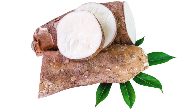 Cassava tubers against white background