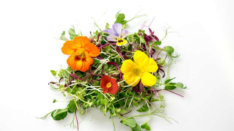 Various edible flowers 