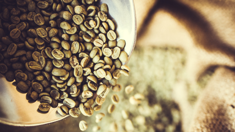 Green coffee beans poured in bag