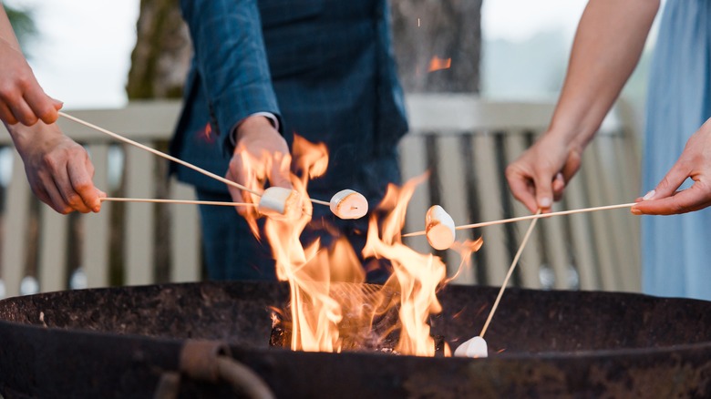 people roasting marshmallows over fire