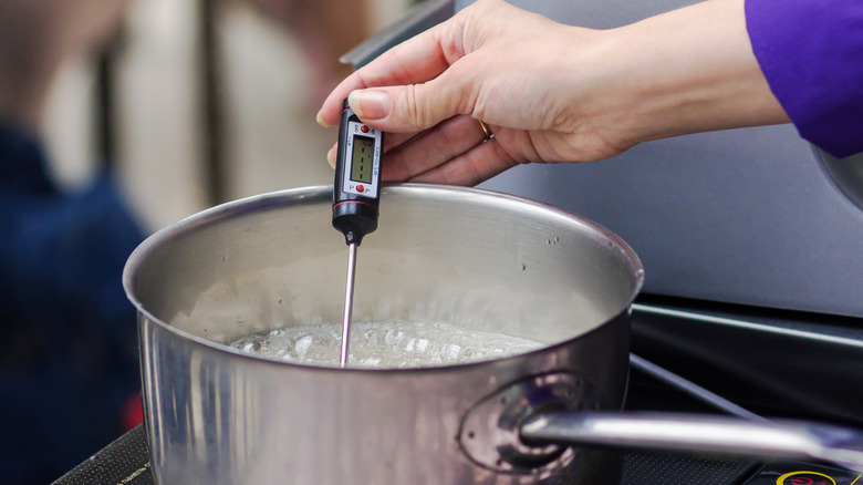 Candy Vs. Meat Thermometer: What's The Difference?
