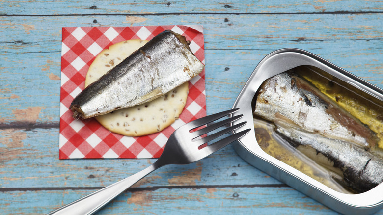 Canned sardine on cracker, with open can of sardines next to it