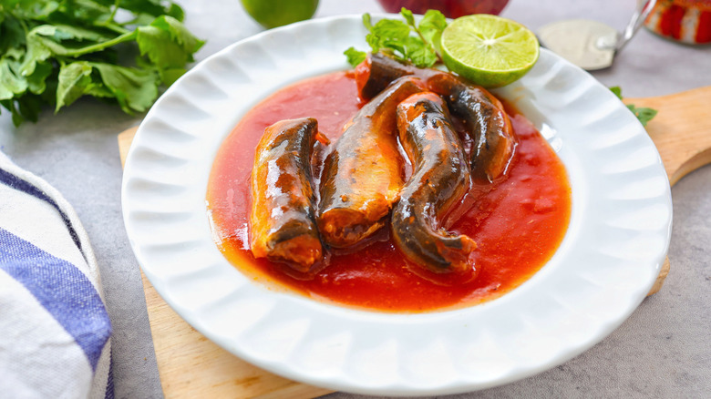 Canned sardines in tomato sauce on plate