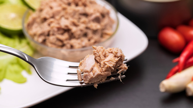 canned tuna on fork