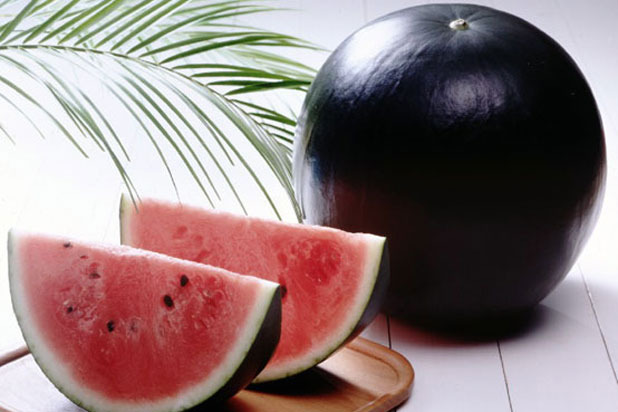 Densuke Black Watermelon