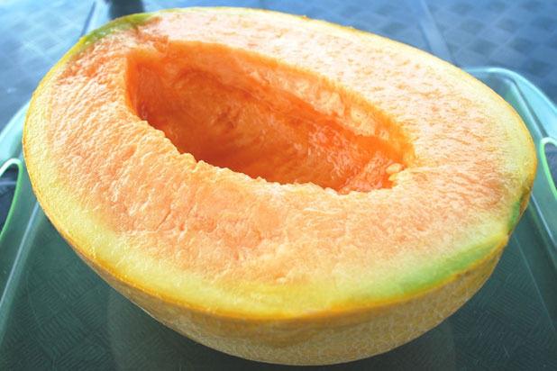 Yubari King Melon