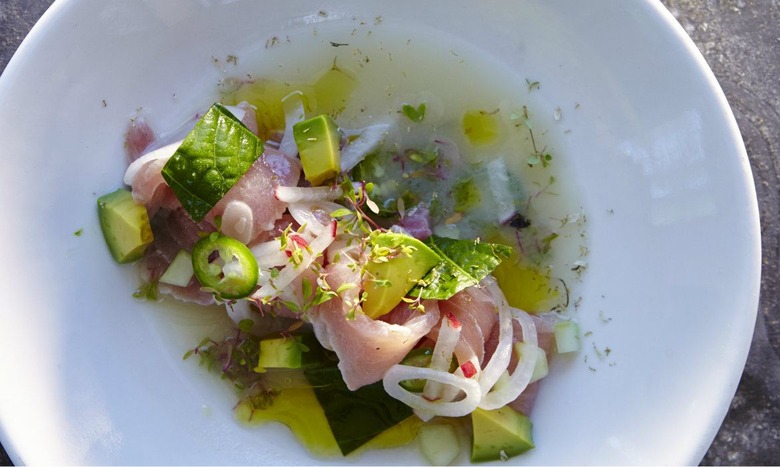 Ceviche de Aguja with Ginger and Mezcal