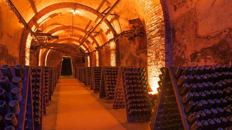 champagne bottles in cellar