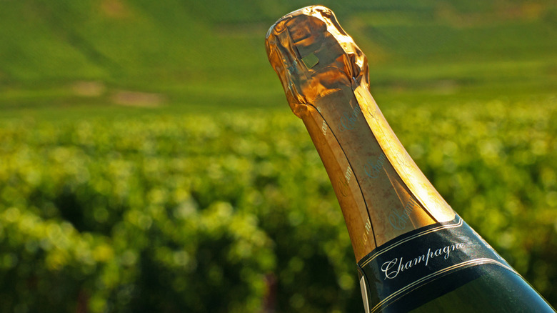 bottle of champagne with vineyard background