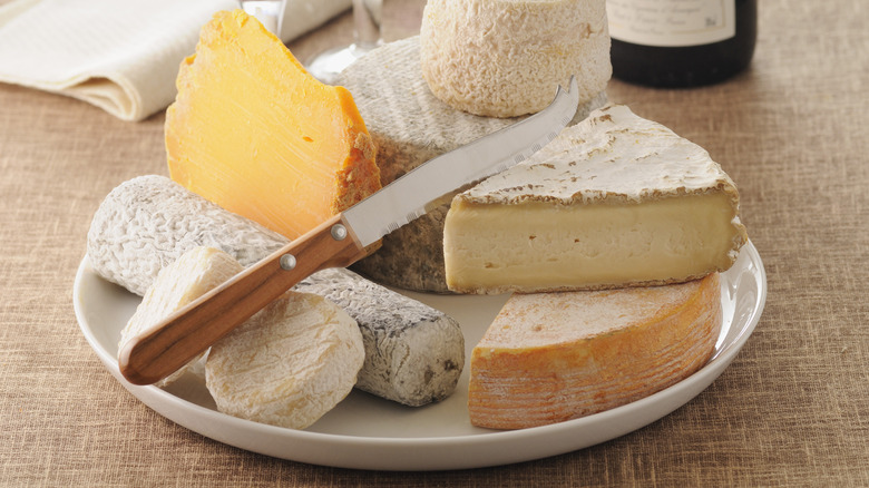 Assortment of cheeses on plate