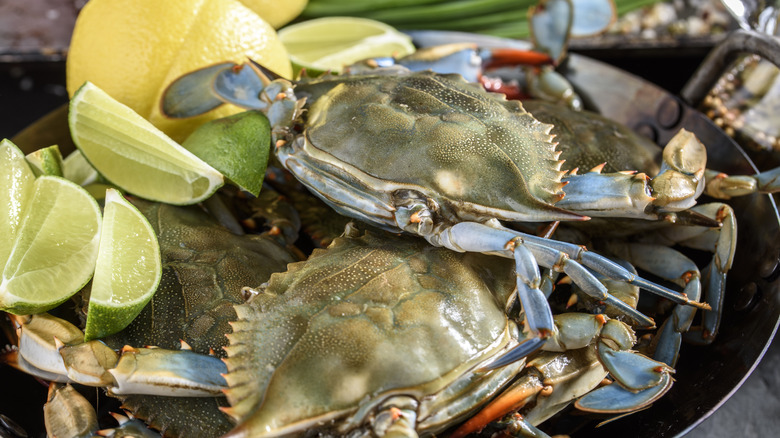 Fresh blue crab