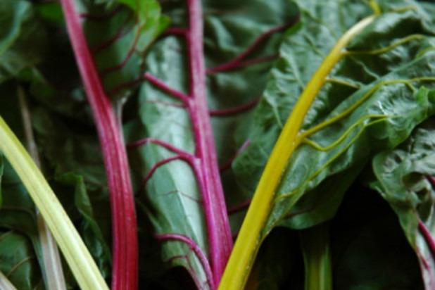 Swiss Chard Gratin 