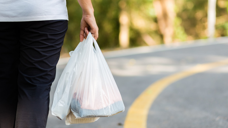 Person carrying plastic bag