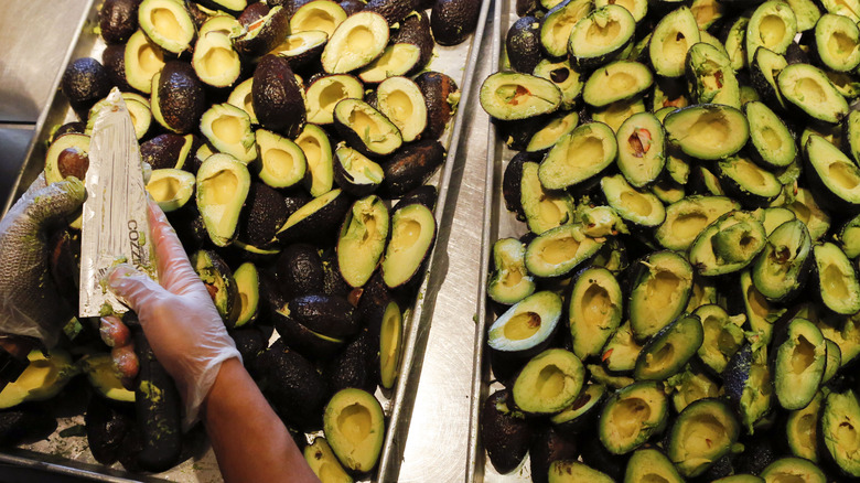 prepping avocados at Chipotle