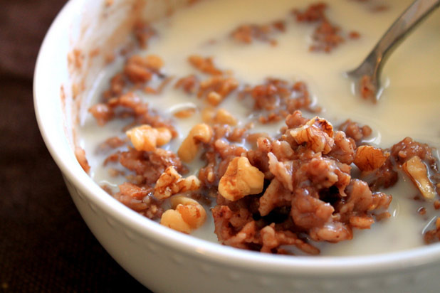 Chocolate Brownie Oatmeal