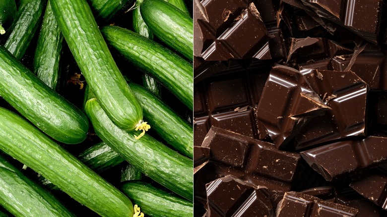 Chocolate Covered Cucumbers Are The Refreshing Dessert Youd Never Expect 5796