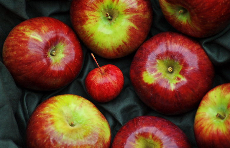 Lucy in the Sky with Apples