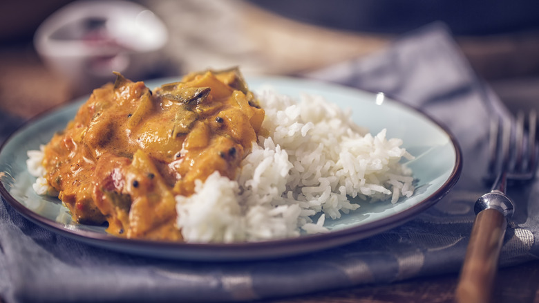 curry with rice on plate