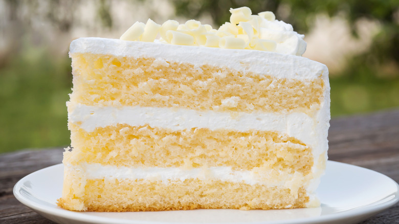 Vanilla sponge cake slice on plate