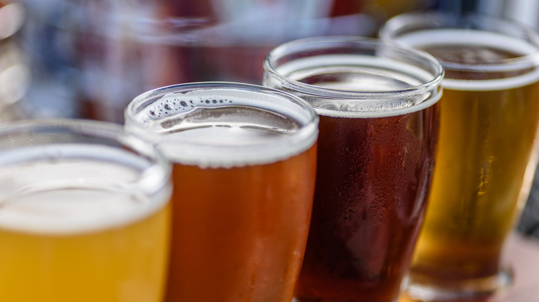 Array of beers in pint glasses