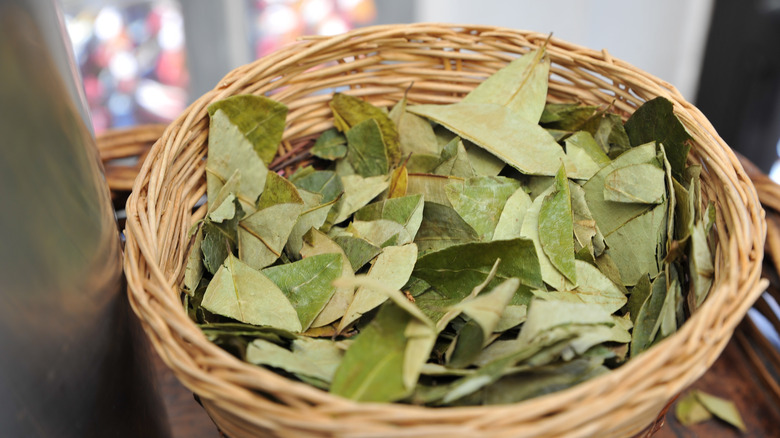 coca leaves in wooden basket