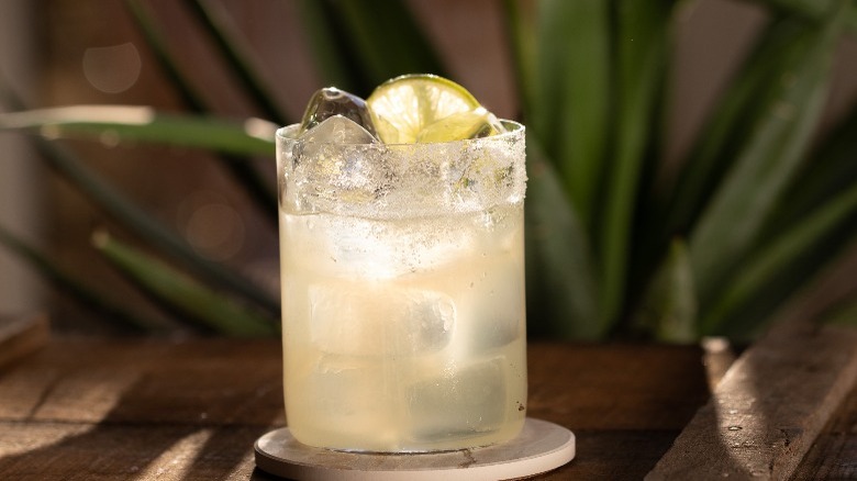 classic margarita with lime